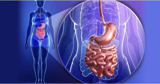 Peran Kebiasaan Sehari-hari dalam Mendukung Fungsi Sistem Pencernaan